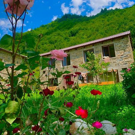 River Side Svaneti Mestia Luaran gambar