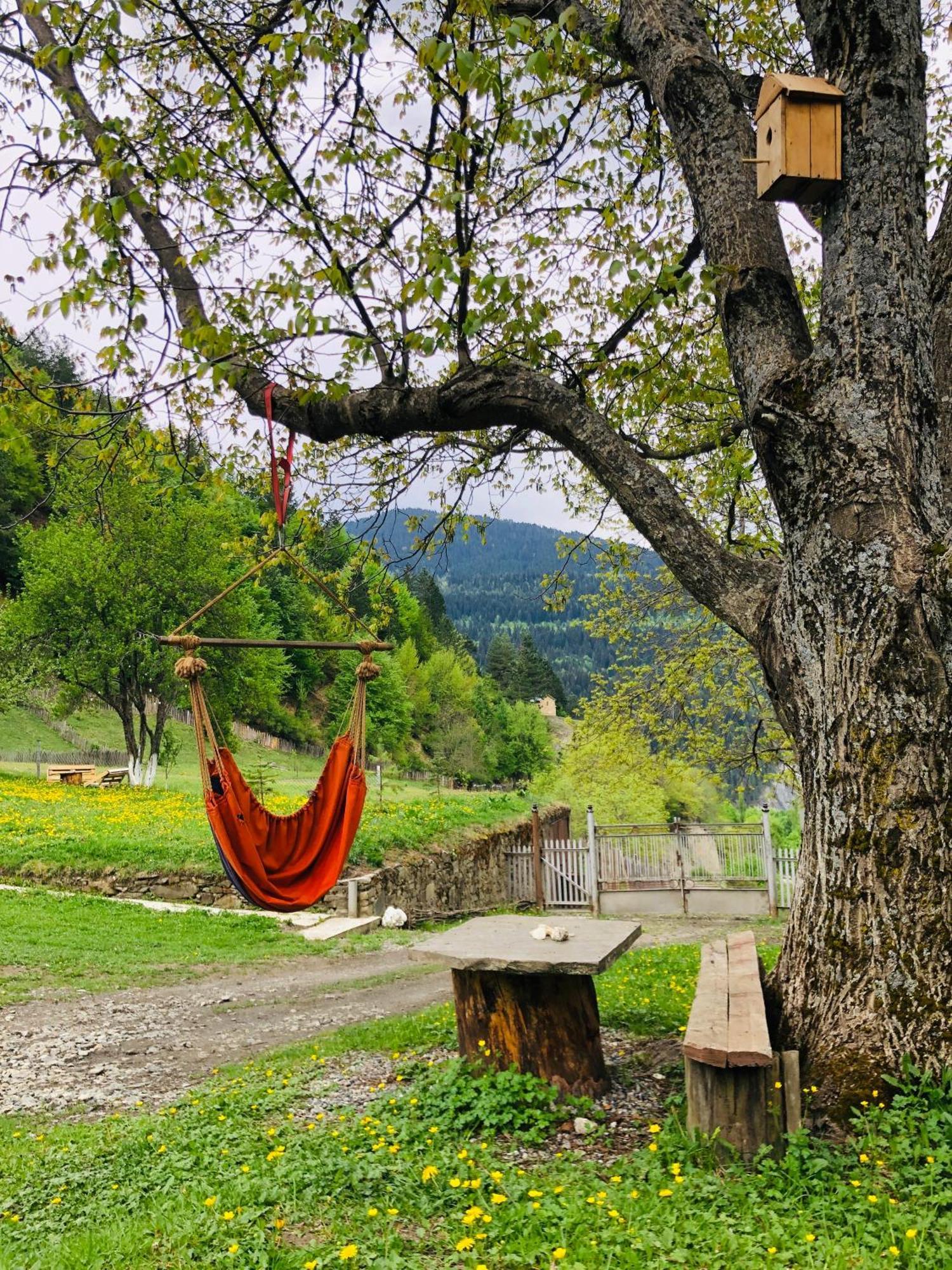 River Side Svaneti Mestia Luaran gambar